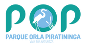 LOGO POP color.png