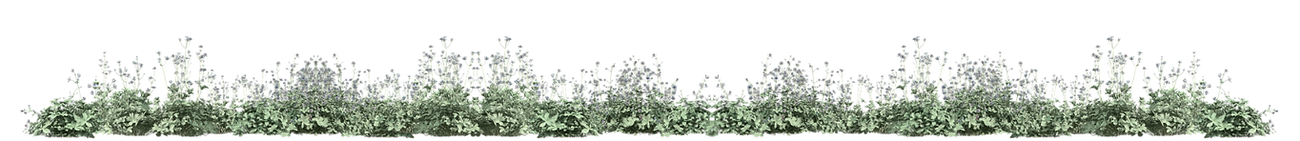 A Creative situation (1).png