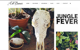 Project Ed Bones.png