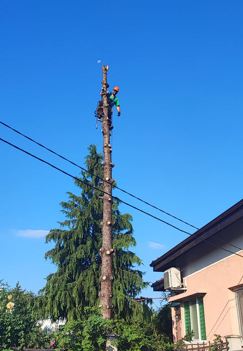 Йови Сървисис в действие