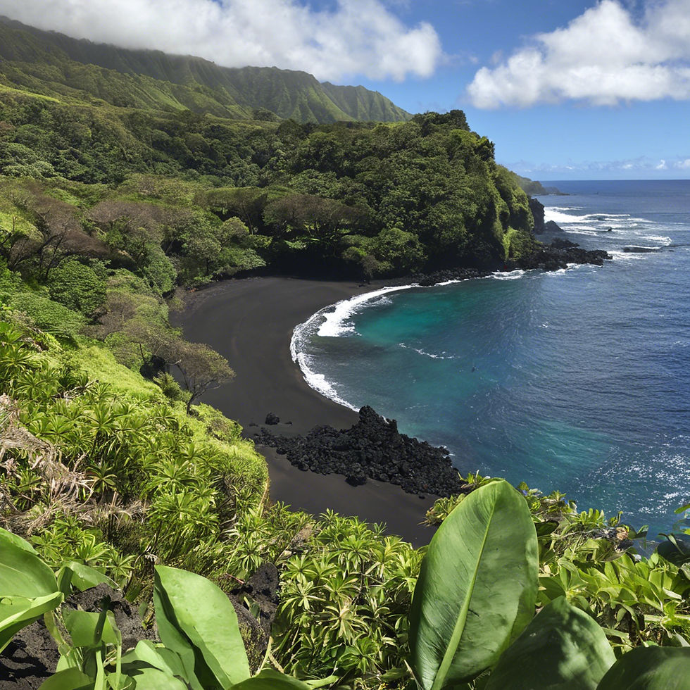 black beach in Maui