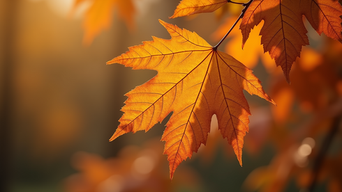 Seven Unique Ways to Find Creative Inspiration