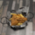 Eagles Nest and Fries