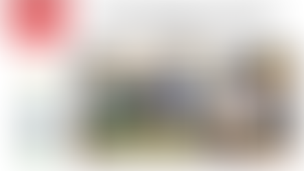 Успішне завершення проєкту «Розвиток самозайнятості у птахівництві у громадах Харківської та Полтавської областей»