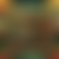 Join Our Grassroots Movement: Straw Hat Farms Urban Community Garden Initiative