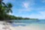 PALAYA