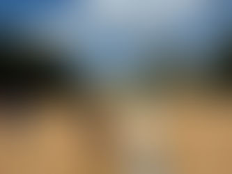 みんな頑張っています★