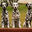 Foto del escritor: Belljoy's Dalmatians