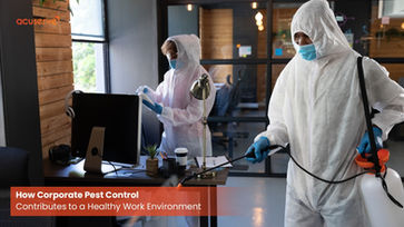How Corporate Pest Control Contributes to a Healthy Work Environment 
