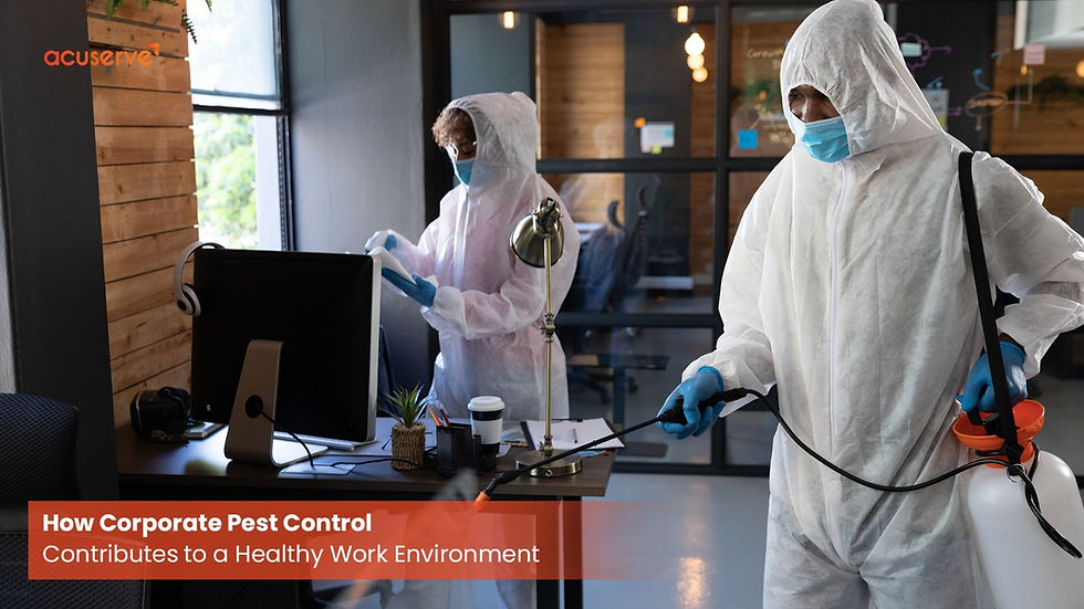 How Corporate Pest Control Contributes to a Healthy Work Environment 