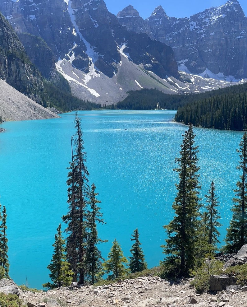 1F0F0D2D-0887-4ADC-A0EB-EB65F788BDD4_1_105_c