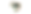 RNPN - Logo Alterações (2240 x 630 px) (1).png