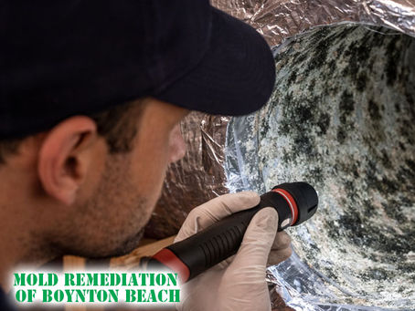 technician inspecting HVAC system for mold, Florida home, close-up on ductwork