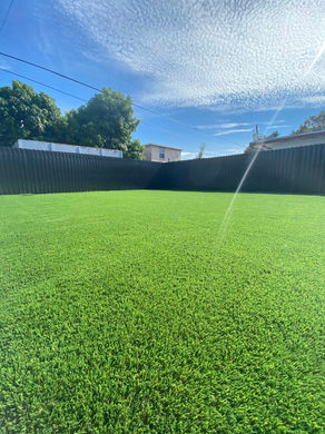 grass-62.jpeg
