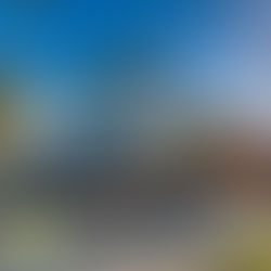 A tow truck loading an old car in a Florida driveway with palm trees in the background and a driver handing cash offer to the seller