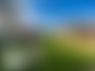 rental property with an inviting, neatly maintained artificial grass yard while a potential tenant admires the home’s outdoor appeal