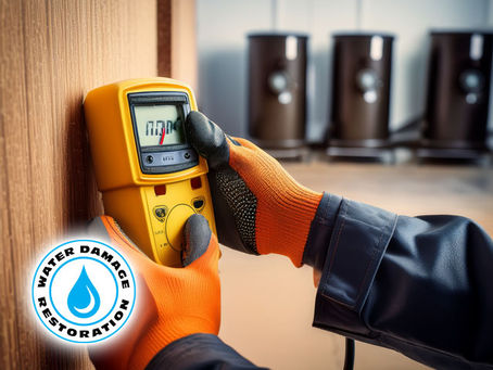 Close-up of a technician using a moisture meter on a wall, with air movers and dehumidifiers running in the background for mold prevention