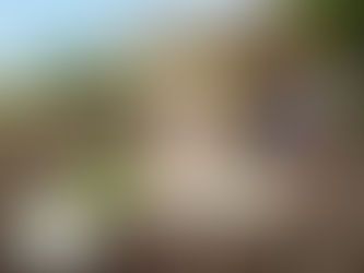 A Port Saint Lucie homeowner reviewing artificial grass turf samples and installation design plans and cost with an installer beside a freshly prepared lawn