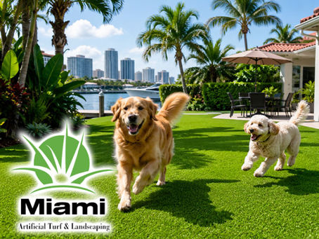Happy dogs playing on professionally installed pet-friendly artificial turf lawn, tropical Miami backyard, palm trees, outdoor environment