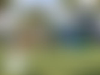 A playground in Port Saint Lucie with bright artificial grass synthetic turf, children playing on swings and slides, palm trees in the background