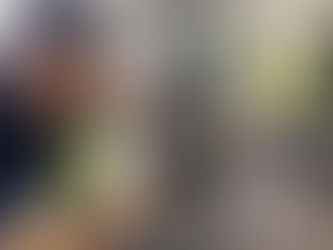 repair technician replacing mesh on a sliding screen door with garden visible beyond, daylight Florida home