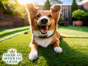 happy dog playing on artificial grass in a backyard