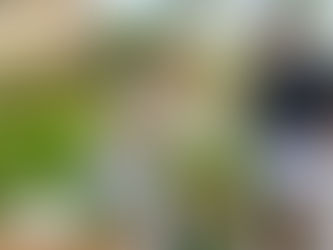 A Boca Raton homeowner reviewing turf samples and installation costs and plans with an installer, standing beside vibrant artificial grass