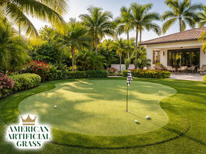 A Boca Raton backyard featuring a curved synthetic putting green, fringe turf, a flagstick, golf balls, and palm trees under warm sunlight