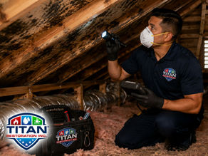 Technician inspecting attic space for moisture and mold concerns, flashlight and inspection tools visible, residential property setting