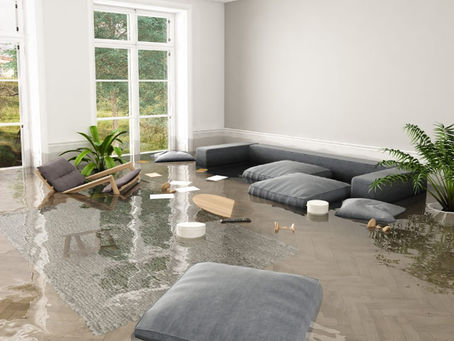 Expert Flood Damage Restoration