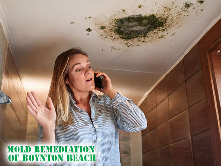 mold remediation boynton beach woman on phone calling for inspection with potential mold growth on ceiling behind her
