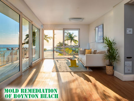 bright Boynton Beach home interior with sunlight, humidity indicators, clean walls, coastal aesthetic mold prevention