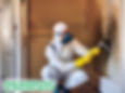 mold remediation boynton beach florida expert technician working professional mold removal
