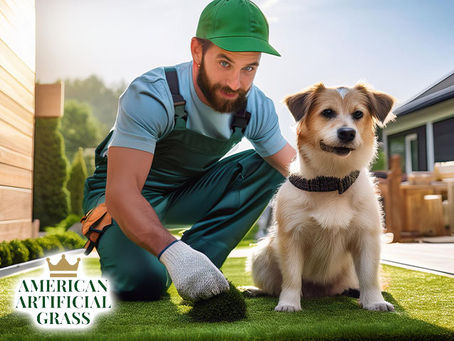 Pet-Friendly Turf Solutions for Your Furry Friends