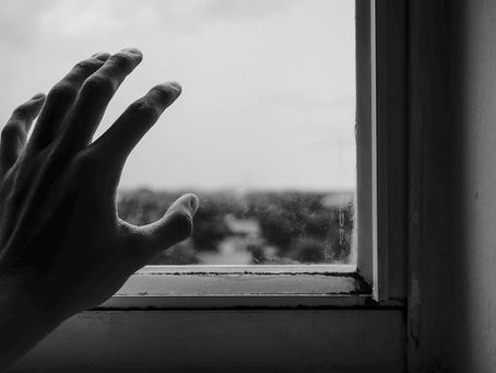 公费招妓?澳洲残疾团体要求政府帮忙公款找妓女:残疾人正常需求