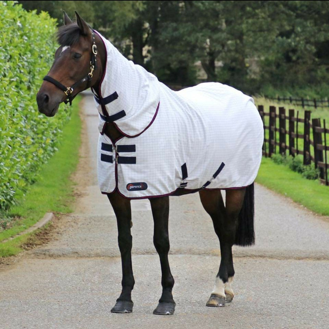 DefenceX System ProteX Summer Sheet