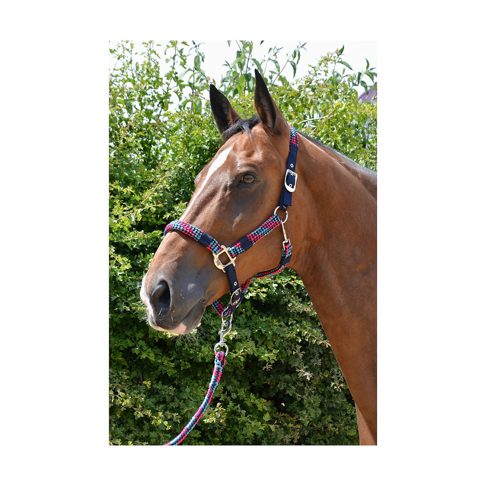 Thumbnail: Hy Multicolour Adjustable Head Collar with Rope