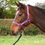 Thumbnail: Hy Equestrian Ombre Head Collar and Lead Rope