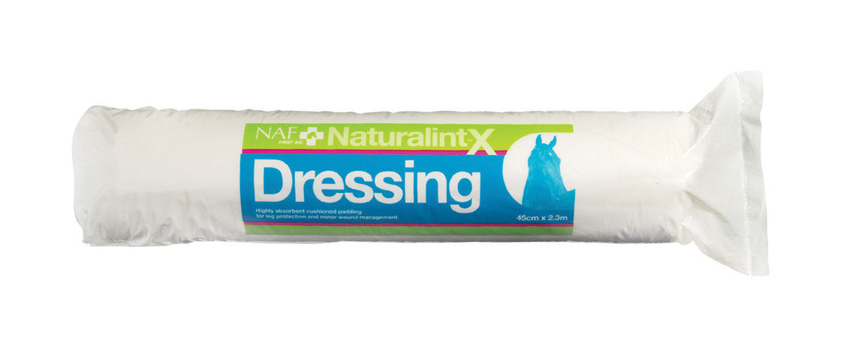 NAF NaturalintX Dressing