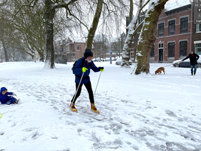 Sneeuwpret in het park