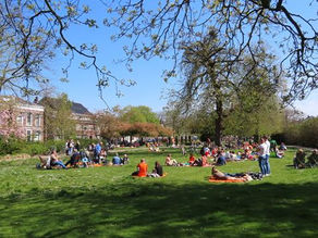 Koningsdag in het park