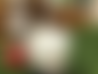 梅雨が明けたら。。。