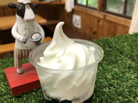 梅雨が明けたら。。。