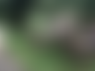 白昼の脱走劇。