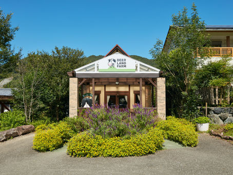 新しいロゴマークになりました