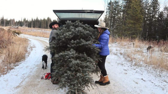 Holiday Greetings & Year Recap