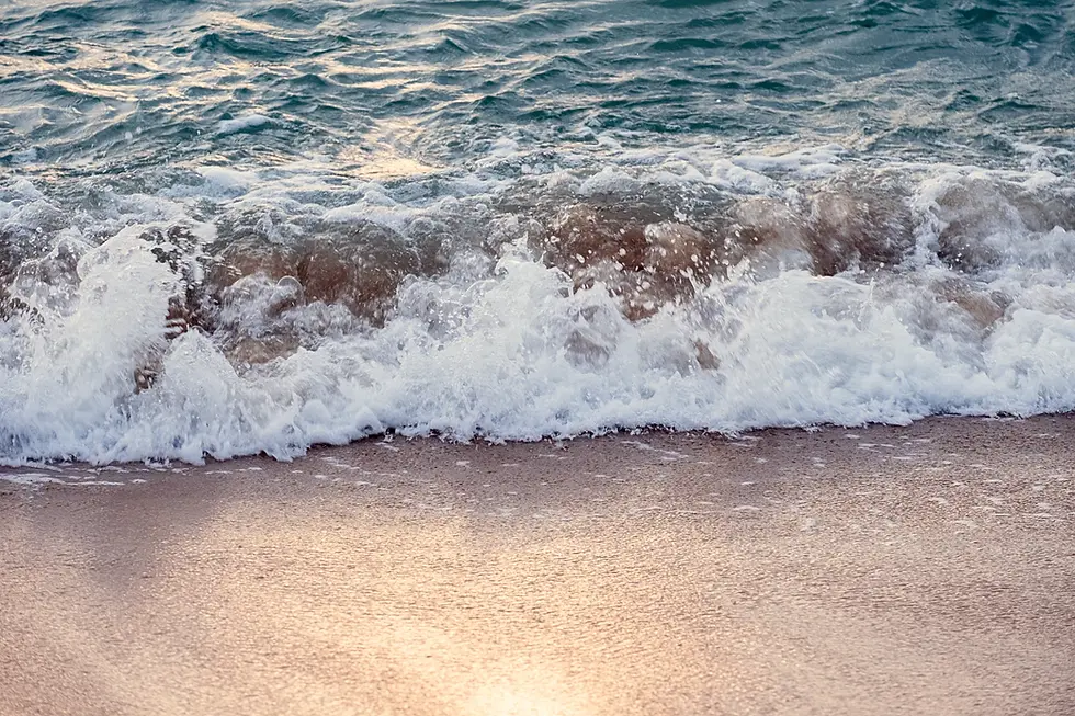 Vanagupes Palanga Apartment walking distance through the pine trees forest to the sea