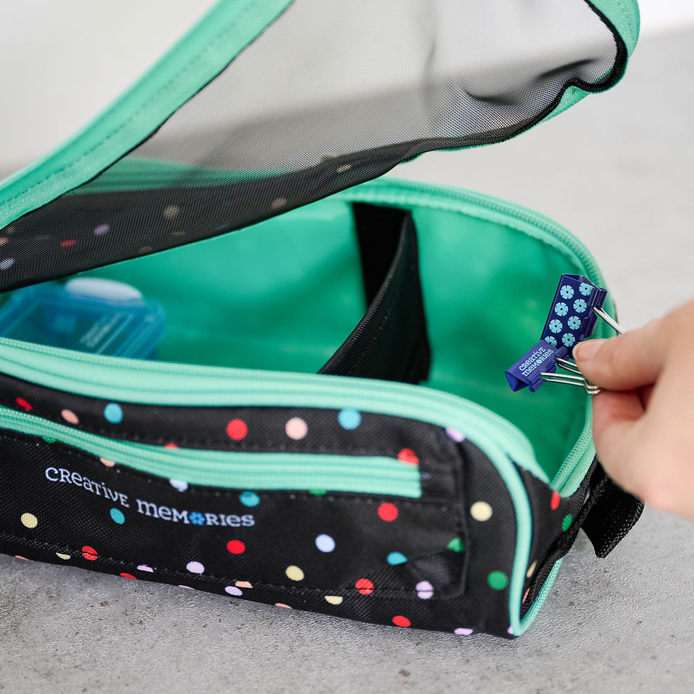 Thumbnail: Rainbow Dots Memory Mate Case