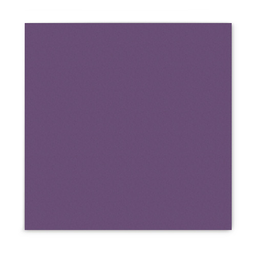 Eggplant Solid 12x12 Cardstock Paper Pack (10/pk) website