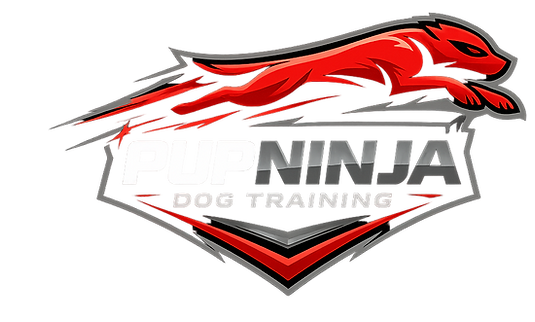 PUPNINJA NEW LOGO 2026.png